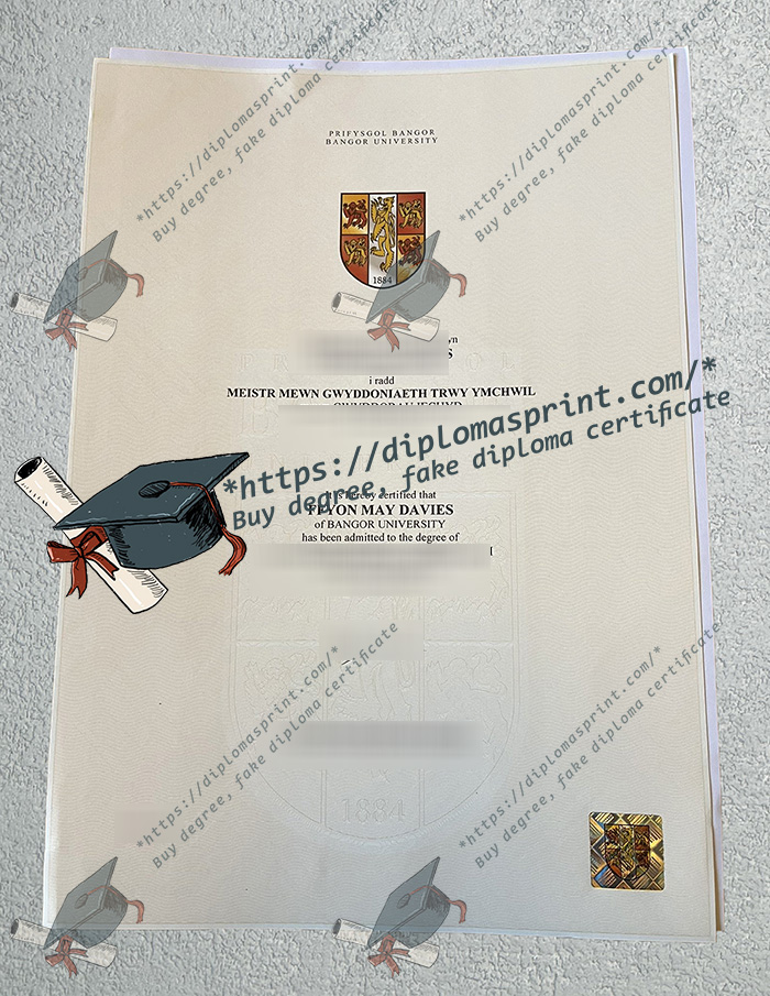 Bangor University Degree