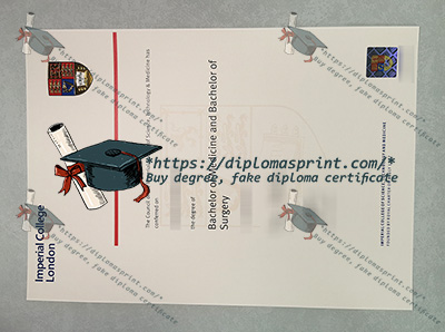 Imperial College London Degree