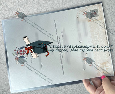 LHU Degree