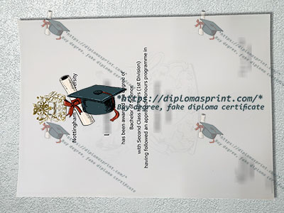 NTU Degree
