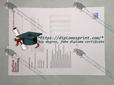 Sheffield Hallam University Transcript