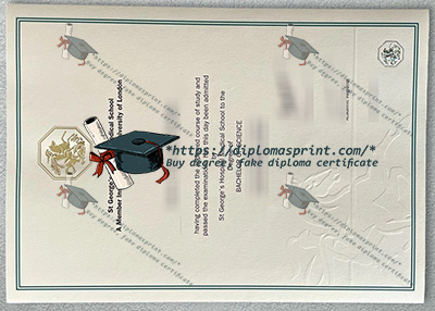 SGUL Degree