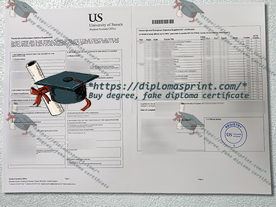 University of Sussex Transcript