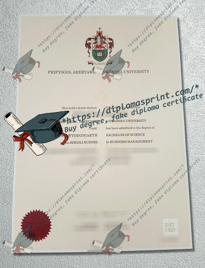 Swansea University Degree Swansea University Degree