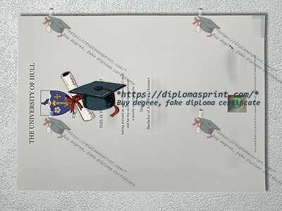 University of Hull Degree