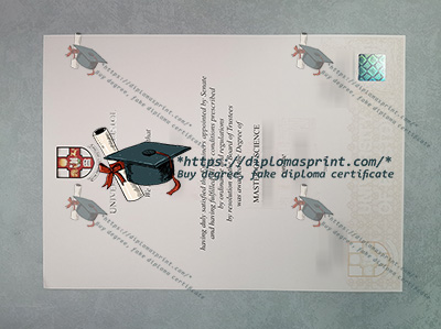 University of Bristol Degree