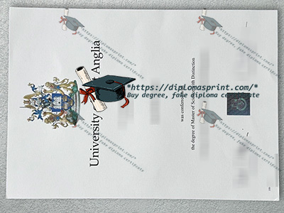 UEA Degree