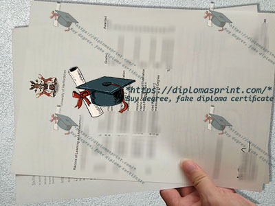 University of Hertfordshire Transcript