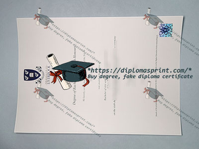 University of Liverpool Diploma