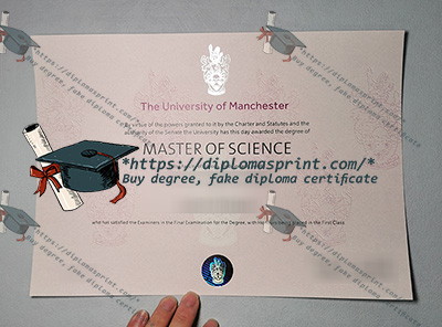 University of Manchester Degree