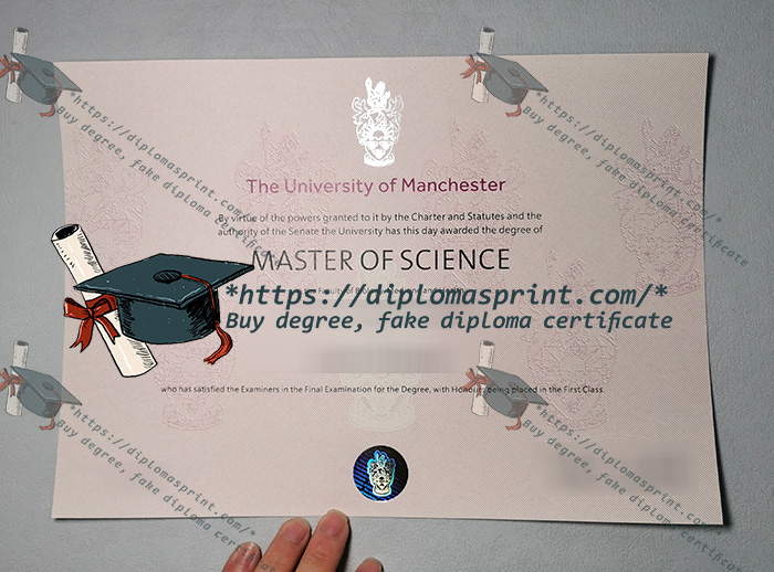 University of Manchester Degree