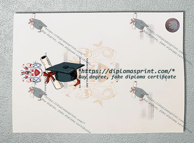 Northumbria University Degree