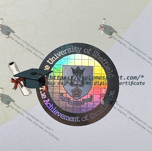 University of Sheffield Degree seal