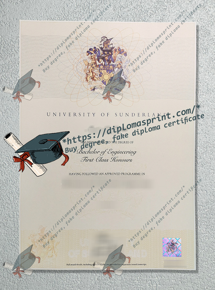 University of Sunderland Degree