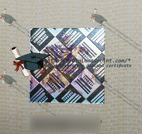 University of Sunderland Degree seal