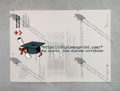 University of Sunderland Transcript