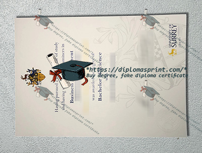 University of Surrey Degree