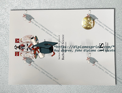 University of Sussex Degree