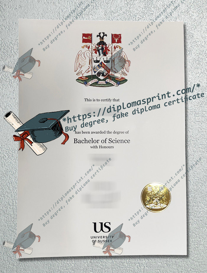 University of Sussex Degree