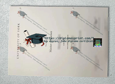 University of York Degree