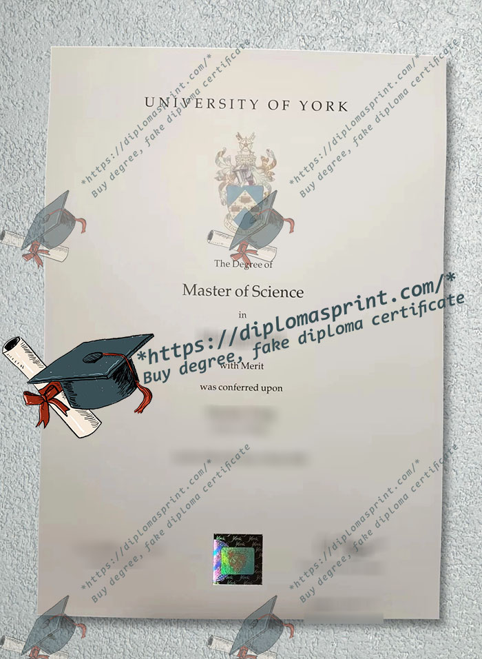 University of York Degree University of York Degree
