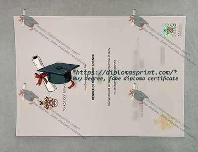 York St John University Diploma