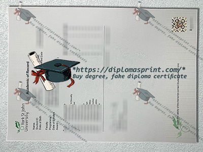 York St John University Transcript