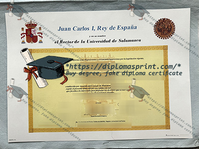 Universidad de Salamanca Diploma