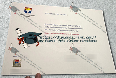 University of Dundee Degree