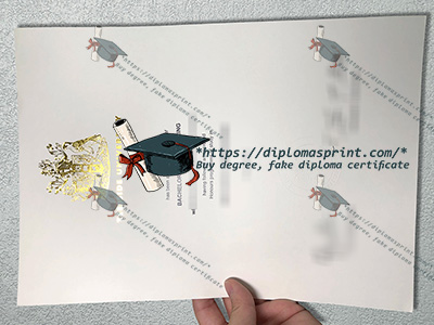 Teesside University Degree