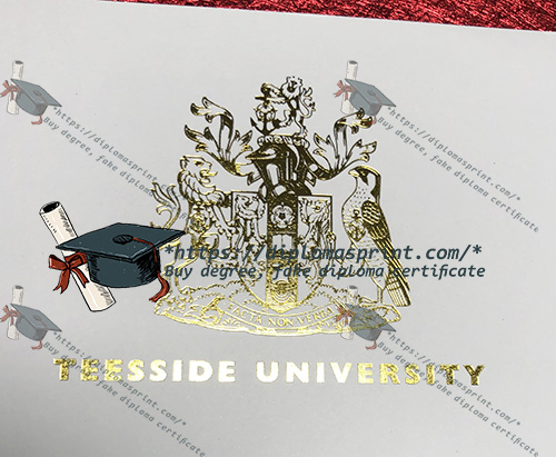 Teesside University Degree seal Teesside University Degree seal