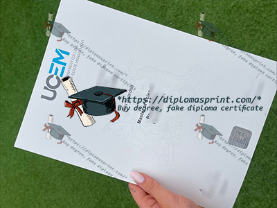 UCEM Degree