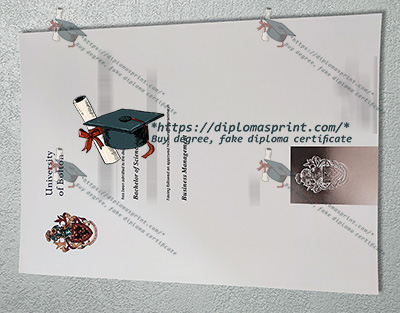 University of Bolton Degree