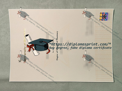 University of Brighton Degree