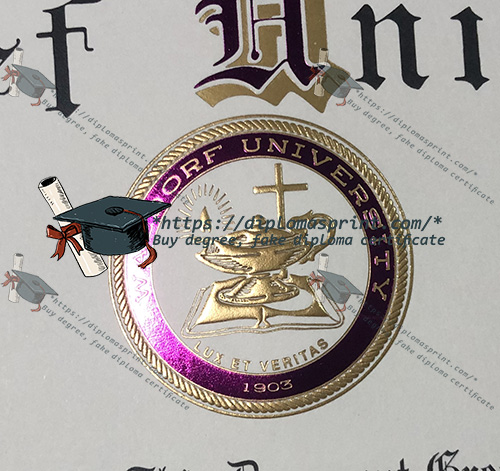 Waldorf University Diploma seal Waldorf University Diploma seal