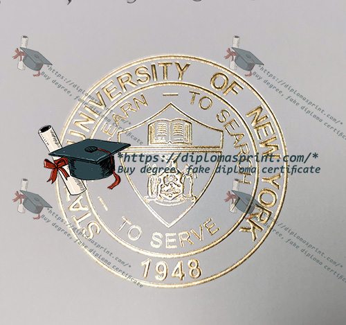 Stony Brook University Diploma seal Stony Brook University Diploma seal