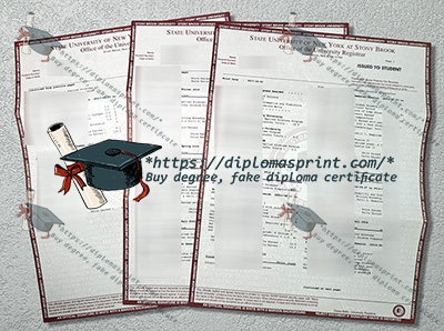 Stony Brook University Transcript