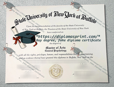 University at Buffalo Diploma