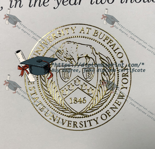 University at Buffalo Diploma seal University at Buffalo Diploma seal