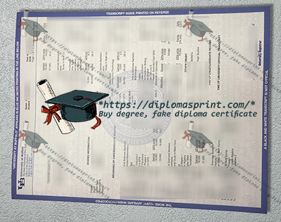 University at Buffalo Transcript
