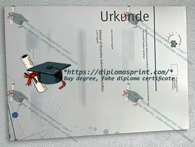 Universität Potsdam Urkunde