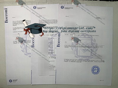 Bocconi University Transcript