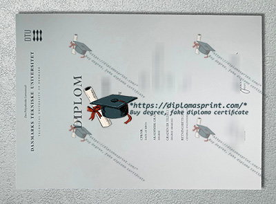 DTU Diploma