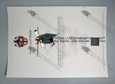 University of Chester Degree