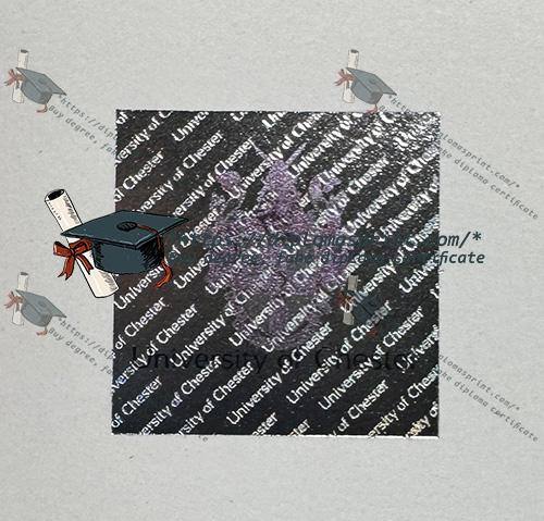 University of Chester Degree Hologram Security University of Chester Degree Hologram Security
