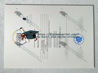 Universität Wuppertal Urkunde